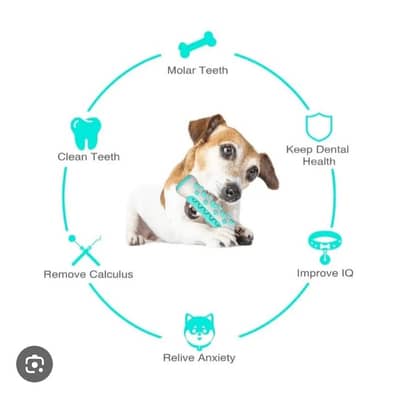 Dog toothbrush bone toy teeth cleaning brush