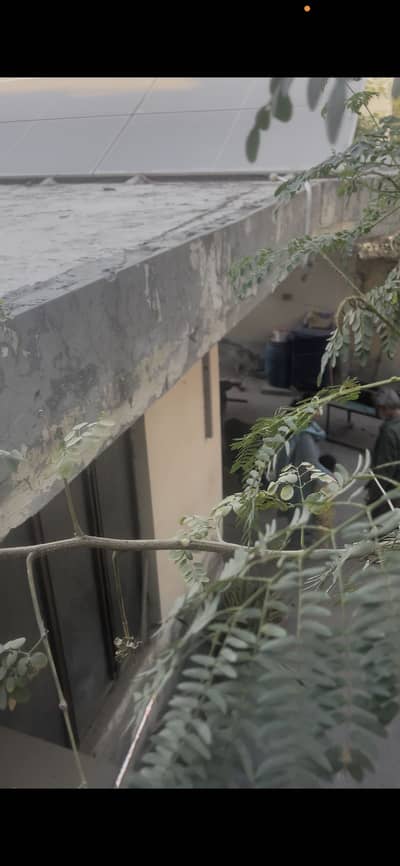 Single Story Used House For Sale Near By Valencia Society Prime Location 50 Fit Road