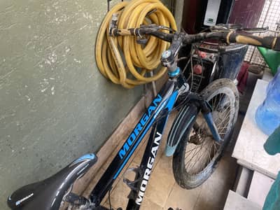 best morgan road bike for adults and kids also