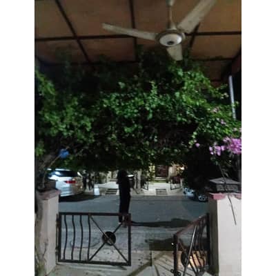 Paragon City House Sized 4 Marla For Rent