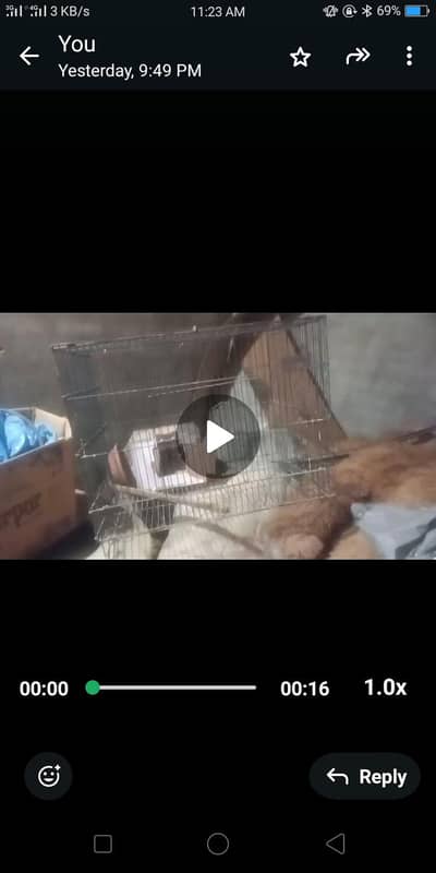 wire folding cage available for sale