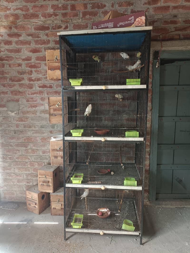 4 portion cage 0