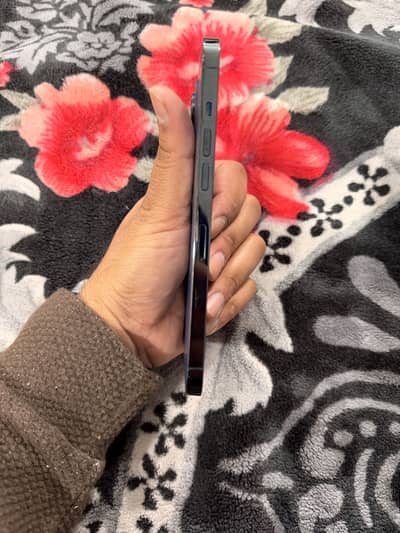 Iphone 12 Pro Max 256Gb