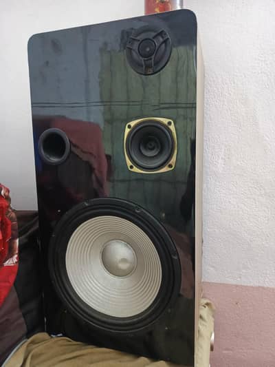 12 inches speaker