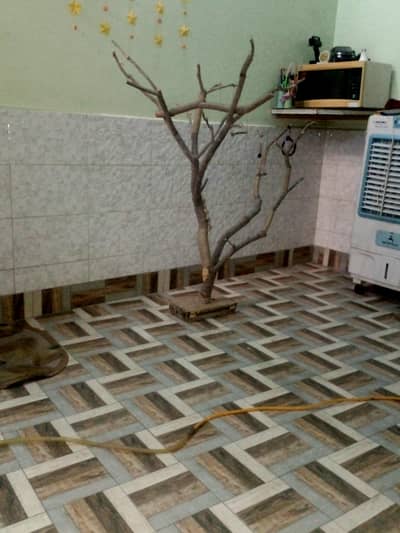 very beautiful and natural home decoration also for birds