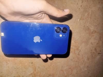 I phone 12