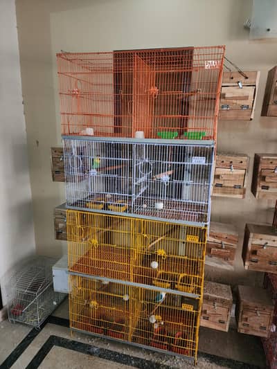 Two portion Cages for Love Birds