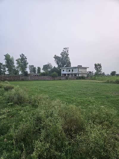 8 Kanal Original Dairy Farm for Sale Bedian Road Lahore Lowest Price
