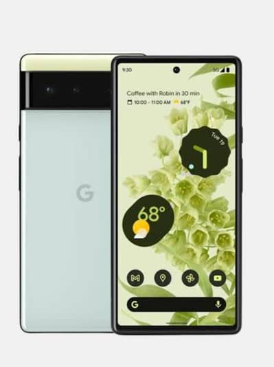 Google pixel 6 panel