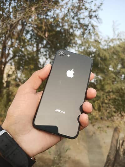 I Phone 8 Pta Approved