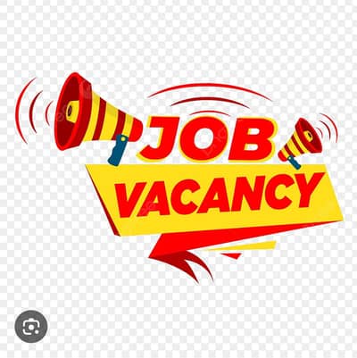 Need Female Receptionist for Guest house