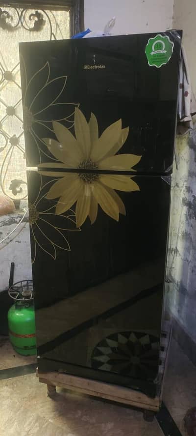 Medium size Brand Electrolux