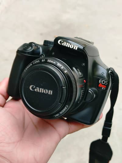 (Canon 1000D + 50mm 1.8 ii) (Nikon 50mm f1.8D) (canon 70-300mm iii USM