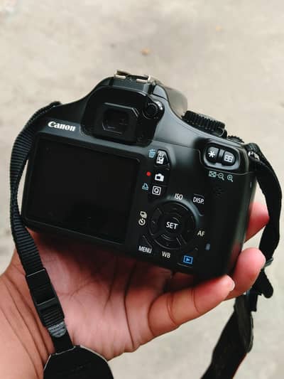 (Canon 1000D + 50mm 1.8 ii) (Nikon 50mm f1.8D) (canon 70-300mm iii USM