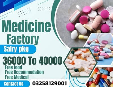 need staff required in medicine factory