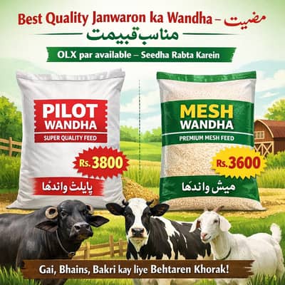 Animal Feed for Cow, Buffalo | Wandha