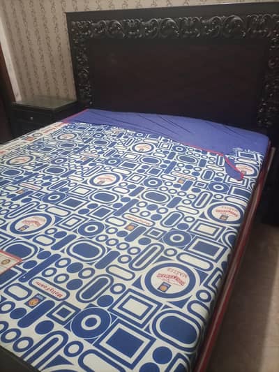 Master Molty Foam Mattress