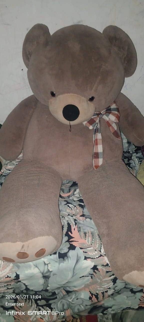 teddy bear 2