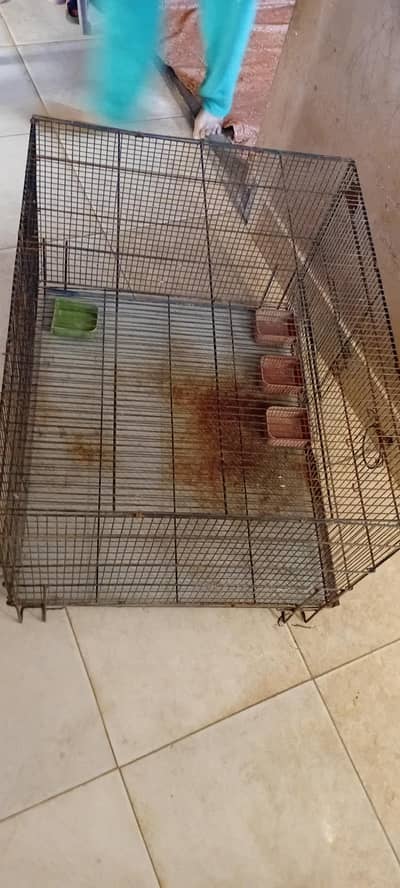 Fresh Condition Gage