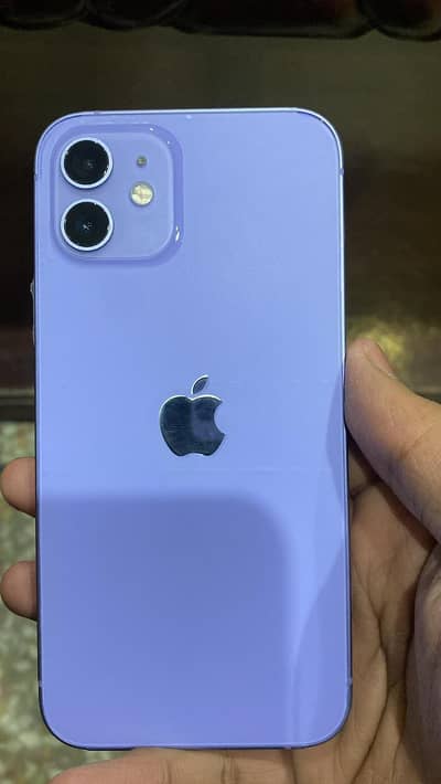 Iphone 12 PTA approved