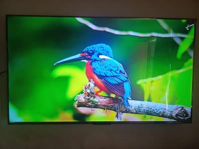 TCL 50C655 50” QLED 4K Google TV | In Warranty