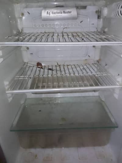 refrigerator argent force