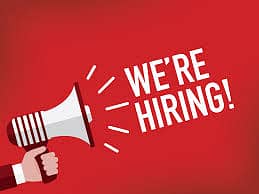 Hiring Image Editor and Videographer