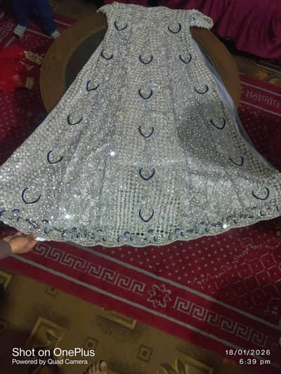 maci for sale urgent