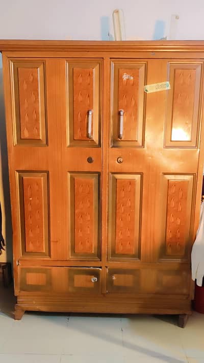 very durable iron Almirah 2 doors