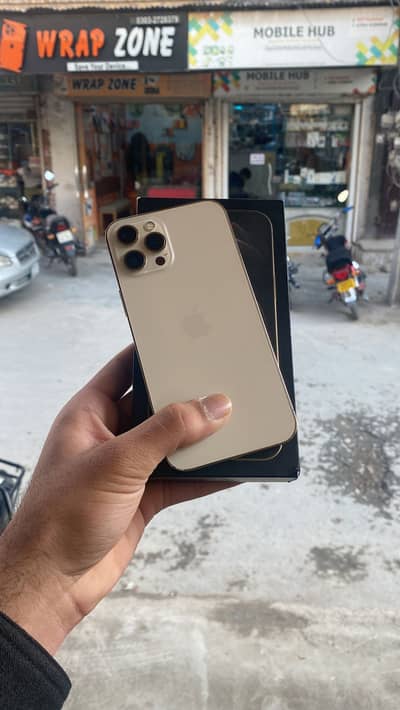 12 pro max PTA approved