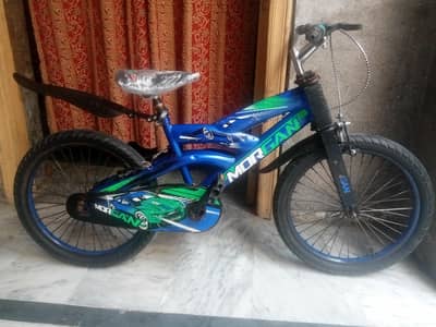 cycle    03098085981