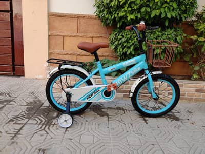 HBWZ imported Cycle - 16 size - 0320/225/7271