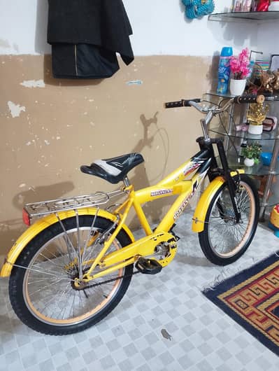 imported Cycle For Kids 20 inches