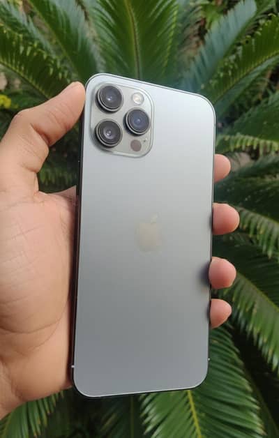 12 Pro max Non Pta 256 gb