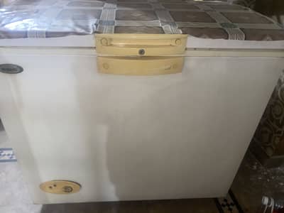 Waves Deep Freezer 10 CFT cubic feet