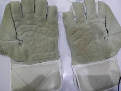 WicketKeeper gloves