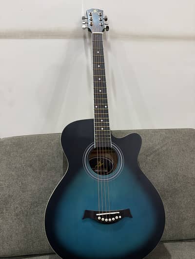 Its a brand new acosutic guitar,for professionals and beginner's