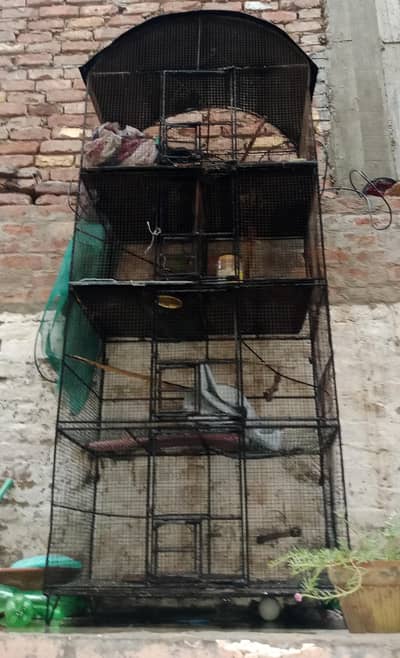Birds Cage For Sale 7 feet height 3 feet wide location alwahwed colony