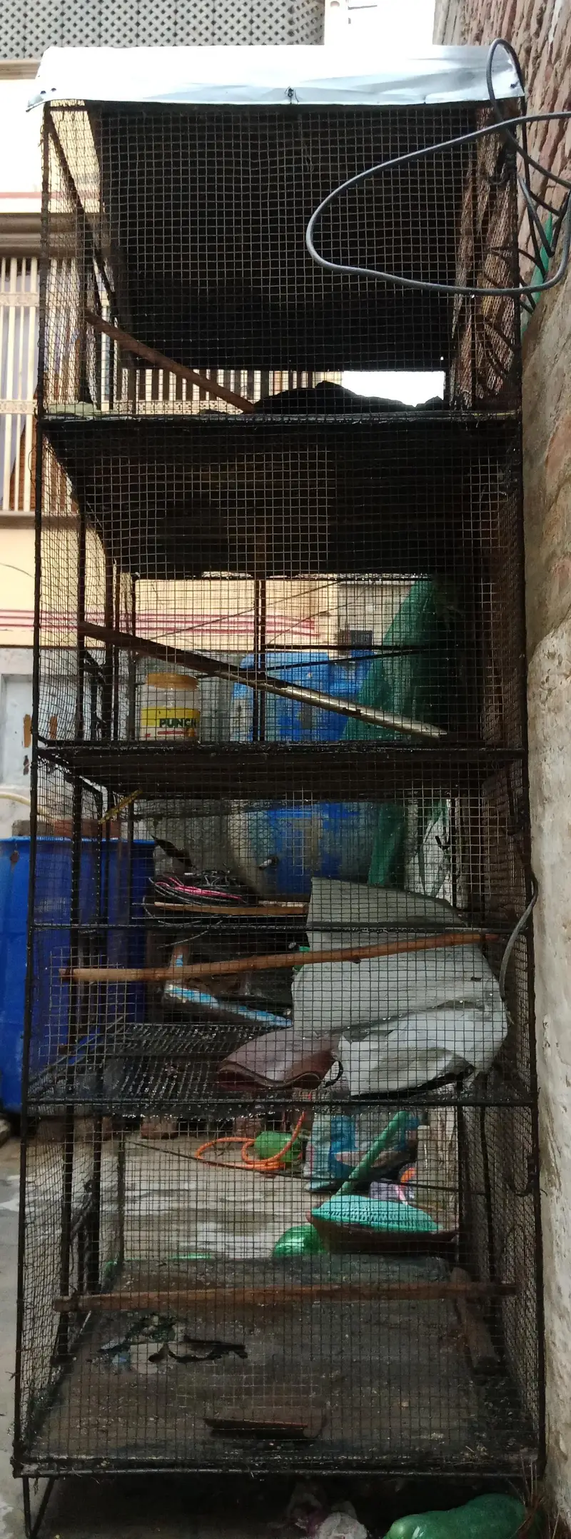 Birds Cage For Sale 7 feet height 3 feet wide location alwahwed colony — photo 2