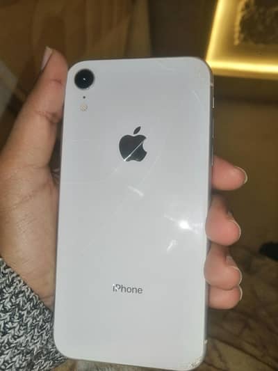 serious buyer contact us