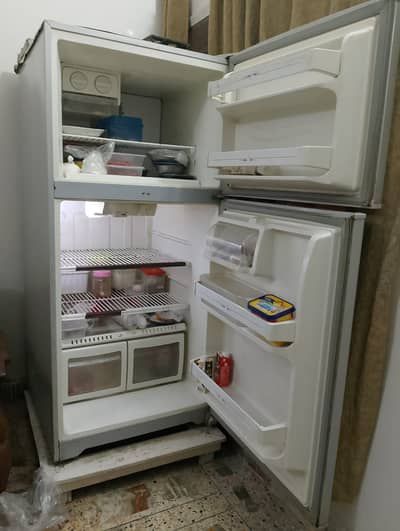 Hairer refrigerator no forest