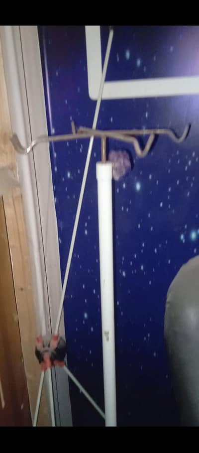 all clinic things loyest   price