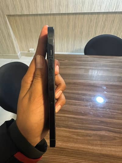 Apple iPhone 12 Pro Max