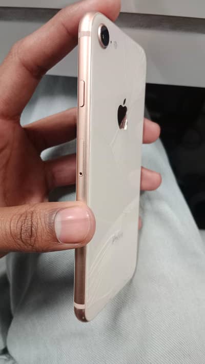 I phone 8 non pta water pack Ungrat sale price km ho jay ge