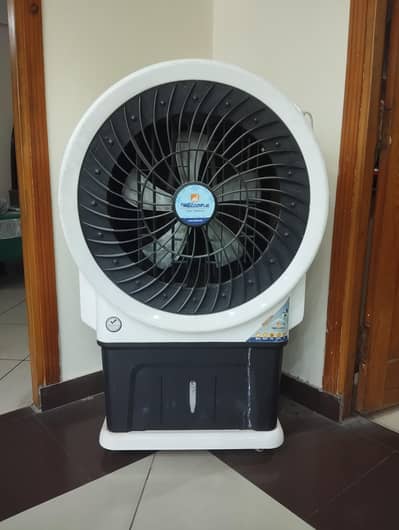 air cooler with ice packs. . . .