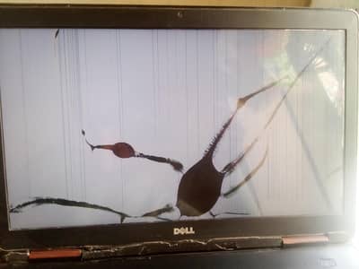 Dell latitude E5540 core i5 4th generation lcd damaged