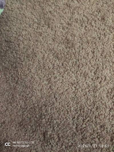 carpets