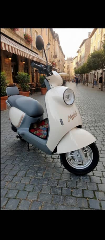 Moda 3 Luyuan Electric bike