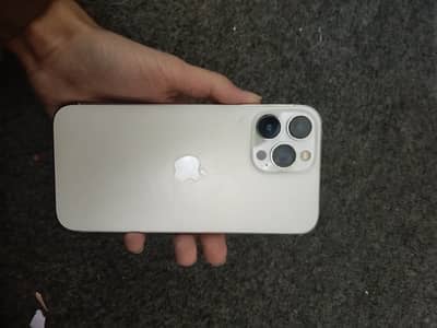 iPhone 13 pro max bulbul ka bcha