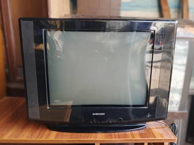 Samsung 21 inch